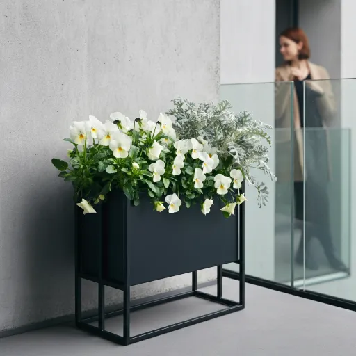 Modern Hanging Basket Ideas